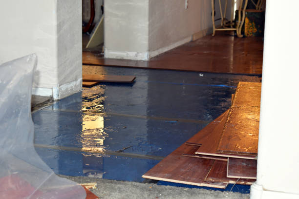 Professional Water Removal technician working in Newtown, PA